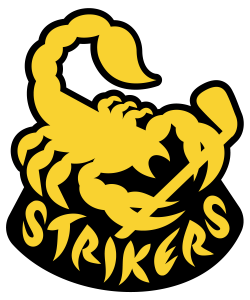 team logo